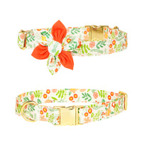 Lemon Zest Dog Collar