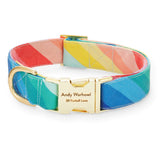 Over the Rainbow Dog Collar