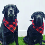 Dog Bandana - Buffalo Plaid Flannel