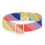 Over the Rainbow Dog Collar