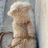 Hundegeschirr TEDDY tan